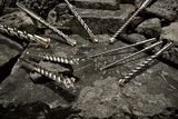 Milwaukee SDS-Max 4 Cutter Drill Bits (Assorted Sizes Available)